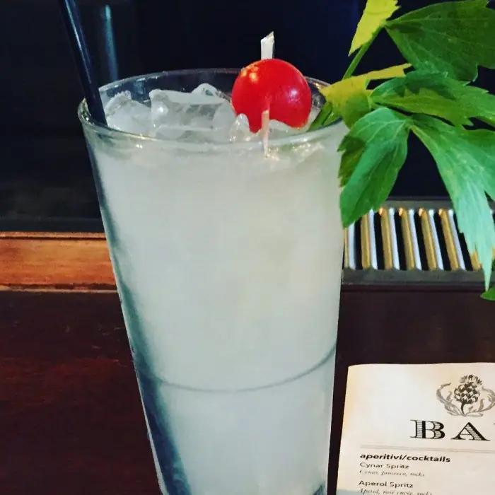 Gin Swizzle (Alcoholic Ordinary Drink Highball glass)