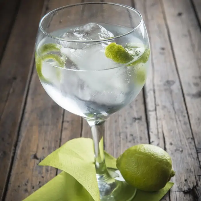Gin and Soda (Alcoholic Cocktail Highball glass)
